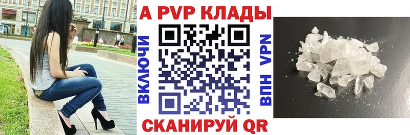где можно купить наркотик  Шенкурск  Alfa_PVP крисы CK 