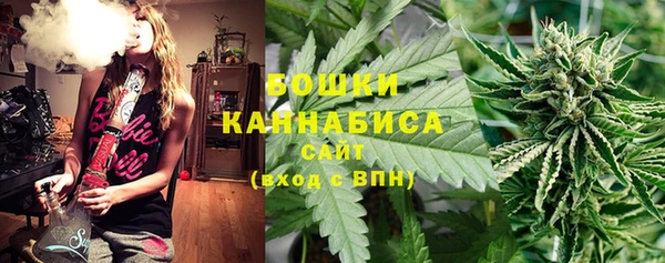 гидра Алзамай