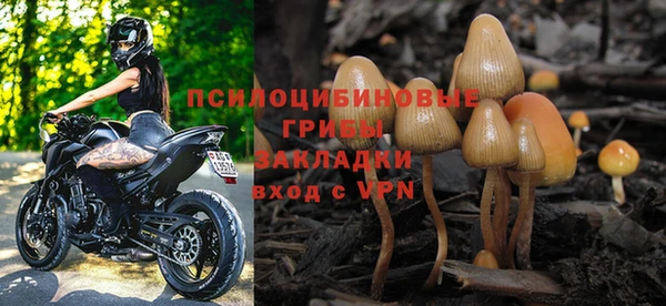 гидра Алзамай