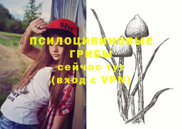 ECSTASY Абдулино