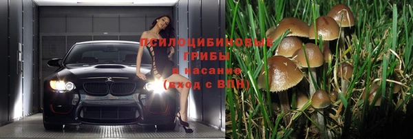 эйфоретик Абаза