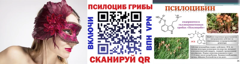 blacksprut ONION  где продают   Шенкурск  Псилоцибиновые грибы Psilocybine cubensis 